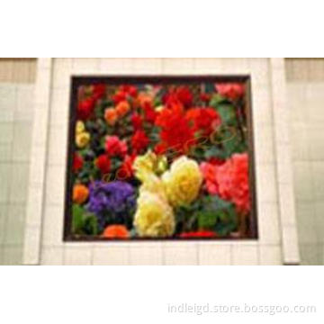 IP65 Outdoor Advertising SMD LED Display Hire , 10mm LED Sc
